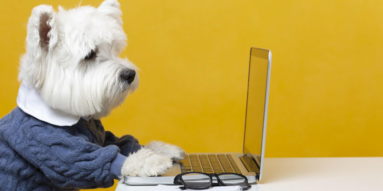 Blog sugli Animali