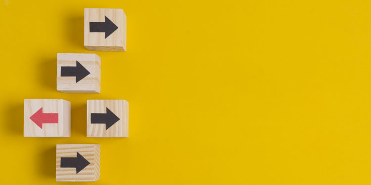Quali sono le differenze tra Blog e Sito Web