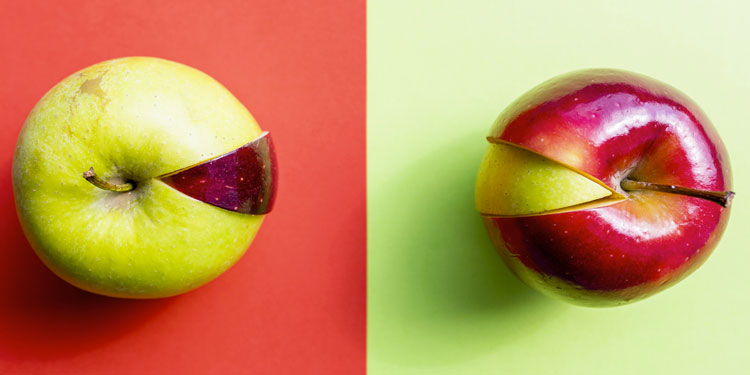 La combinazione vincente: Sito Web con Blog